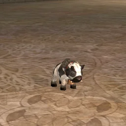 Improved Baby Buffalo