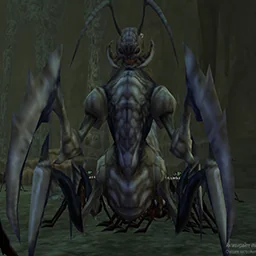 Queen Ant